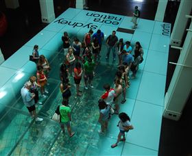 I'm Free Tours - Accommodation Cooktown 1