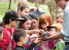 Blackbutt Reserve - Accommodation Cooktown 2