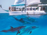 Imagine Cruises - Accommodation Cooktown 2
