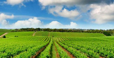 Sydney Weekend Adventures - Accommodation Cooktown 2