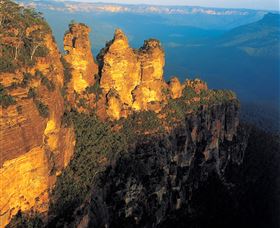 Botanica World Discoveries - Accommodation Cooktown 1