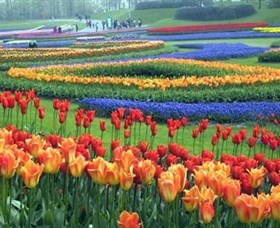 Botanica World Discoveries - Accommodation Cooktown 0