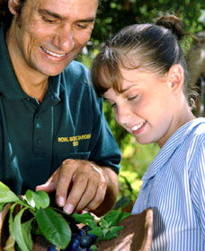 Aboriginal Heritage Tour - Accommodation Cooktown 1