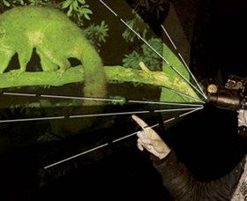 After Dark Nature Tours - Accommodation Cooktown 0