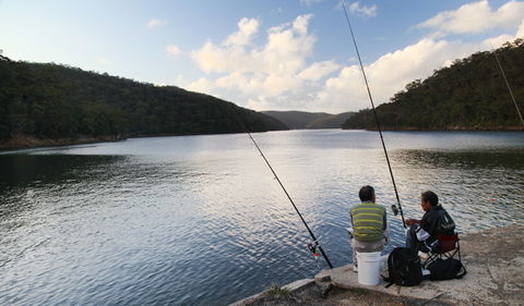 D'Albora Marinas At Akuna Bay - Accommodation Cooktown 3