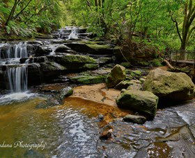 Australian Sightseeing And Photography Tours - Accommodation Cooktown 1