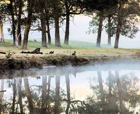 Australian Sightseeing And Photography Tours - Accommodation Cooktown 4