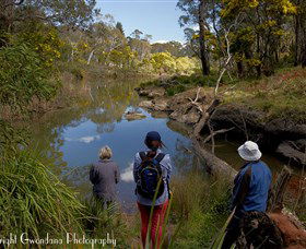 Australian Sightseeing And Photography Tours - Accommodation Cooktown 5