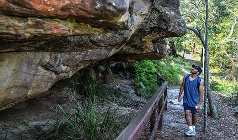 Aboriginal Heritage Walk - Accommodation Cooktown 0