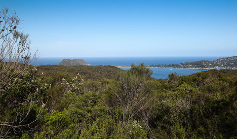 Aboriginal Heritage Walk - Accommodation Cooktown 1