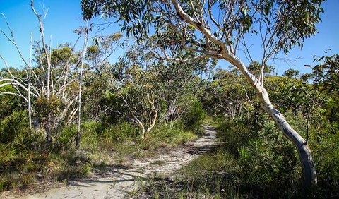 Aboriginal Heritage Walk - Accommodation Cooktown 2