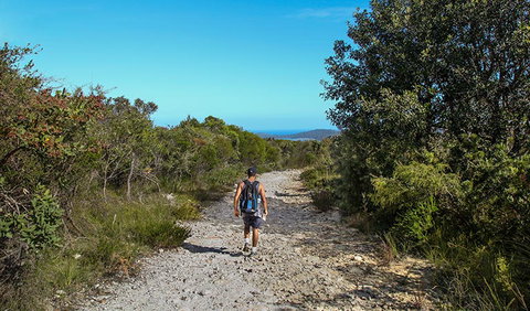 Aboriginal Heritage Walk - Accommodation Cooktown 3