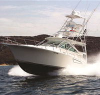 1300 Big Fish - Accommodation Cooktown
