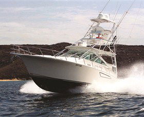 1300 Big Fish - Accommodation Cooktown 0