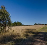 Scheyville horse riding trails - Accommodation Cooktown