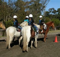 Darkes Forest Riding Ranch - Accommodation Cooktown