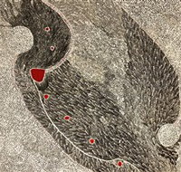 Marshall Arts - Accommodation Cooktown