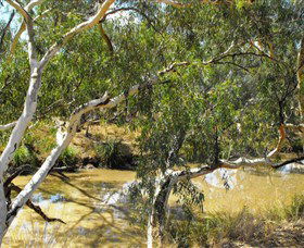 Quilberry Creek Fishing - Accommodation Cooktown 0