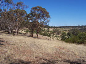 Onkaparinga River National Park - Accommodation Cooktown 0
