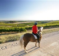 Kidman Trail - Accommodation Cooktown