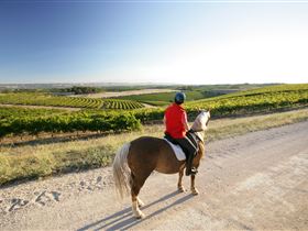 Kidman Trail - Accommodation Cooktown 0