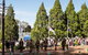 Macclesfield ANZAC Memorial Gardens - thumb 1