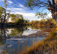 Murray River National Park - Accommodation Cooktown
