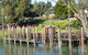 Wentworth Wharf - thumb 0