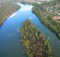 Sturt's Tree - Accommodation Cooktown