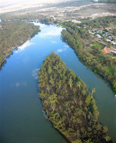 Sturt's Tree - Accommodation Cooktown 0