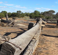 Zanci Pastoral Loop - Accommodation Cooktown
