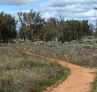 Grasslands Nature trail - Accommodation Cooktown