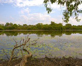 Yurmikmik Walks - Accommodation Cooktown 0