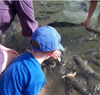 Aquascene - Accommodation Cooktown