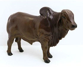 Framed Art Gallery - Accommodation Cooktown 7