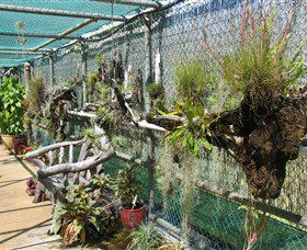 George Brown Darwin Botanic Gardens - Accommodation Cooktown 5