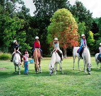 Limestone Coast Horseriding - Accommodation Cooktown