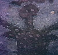 Quinkan Reserves Ancient Rock Art - Accommodation Cooktown