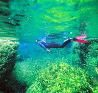 Piccaninnie Ponds Conservation Park - Accommodation Cooktown