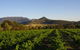 Grampians Estate - thumb 1