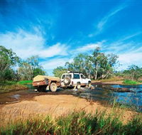 Rinyirru Lakefield National Park CYPAL - Accommodation Cooktown