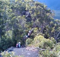 Mia Mia State Forest