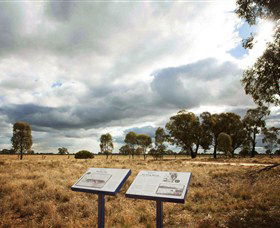 Backroads Trail - Accommodation Cooktown 2