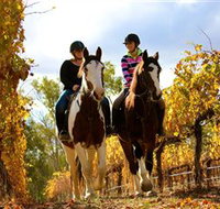 Billabong Ranch - Accommodation Cooktown