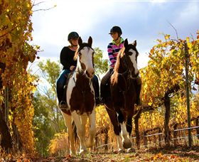 Billabong Ranch - Accommodation Cooktown 0