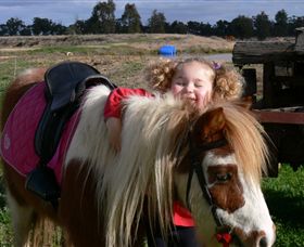 Billabong Ranch - Accommodation Cooktown 1