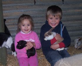 Billabong Ranch - Accommodation Cooktown 3