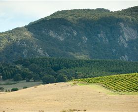 Langi Ghiran State Park - Accommodation Cooktown 0