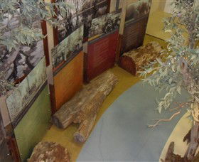 Barmah Forest Heritage And Education Centre - Accommodation Cooktown 4