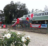 The Big Strawberry - Accommodation Cooktown